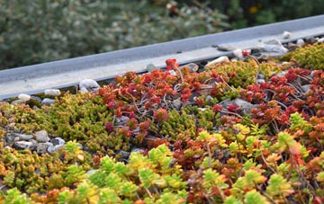 the cost of Vowchurch Common green roof installation