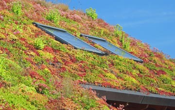 Vowchurch Common living roof systems
